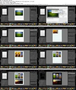 NAPP Launches Adobe Photoshop Lightroom 3 Learning Center