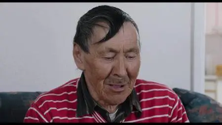 Journey to Greenland (2016)