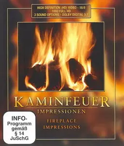 Fireplace Impressions (2008)