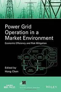 Power Grid Operation in a Market Environment: Economic Efficiency and Risk Mitigation