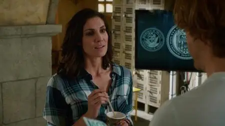 NCIS: Los Angeles S07E19