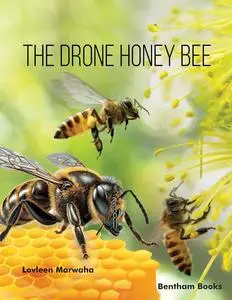 The Drone Honey Bee