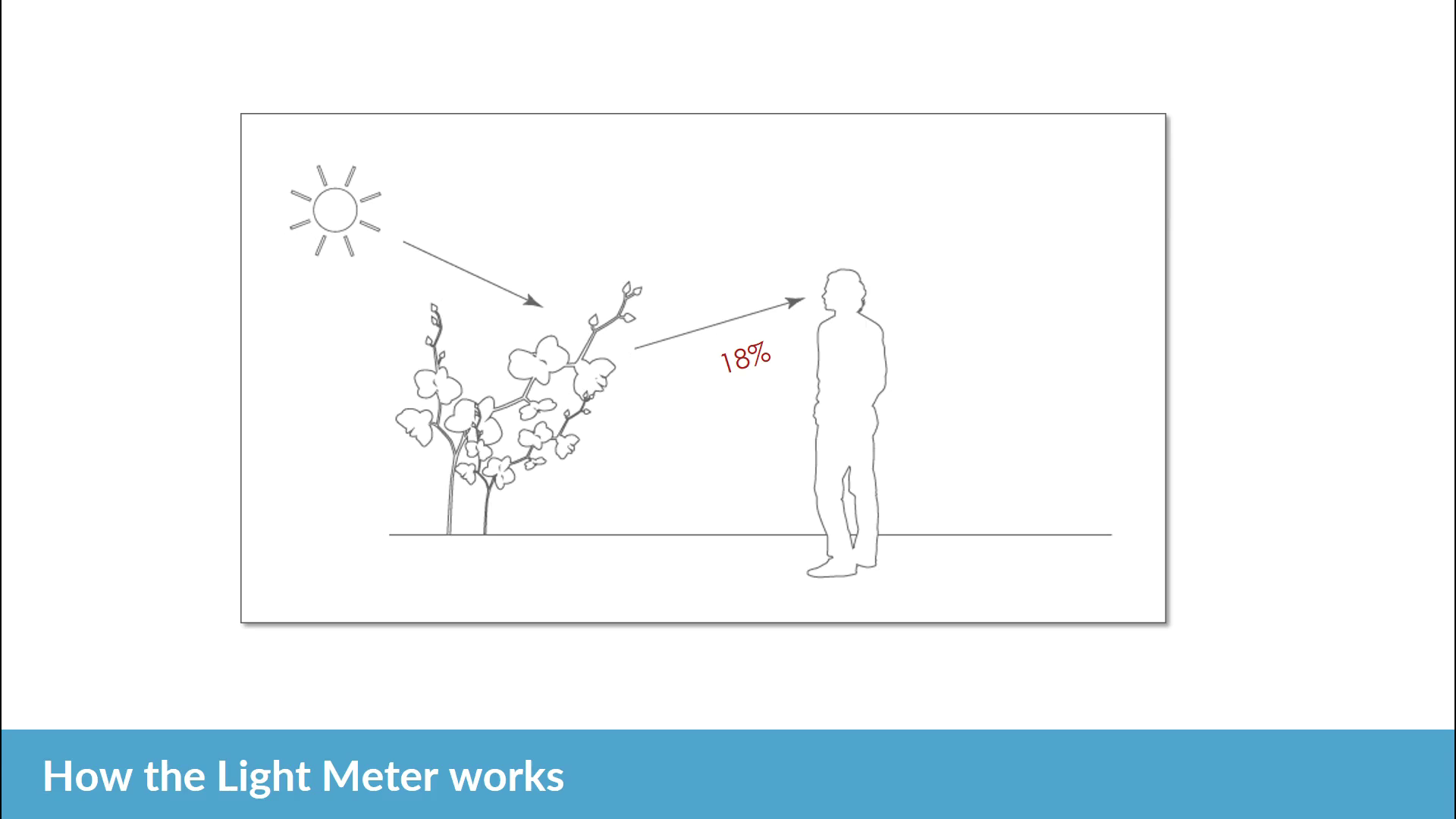 Diploma in Photography Beginer (2017)