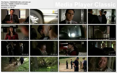 Criminal Minds S04E25 - S04E26