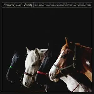 Foxing - Nearer My God (2018)