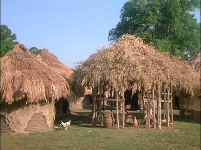 Roots (1977) [TV Mini-Series] 25th Anniversary Edition