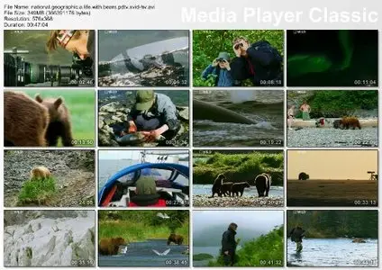 National Geographic - A Life With Bears