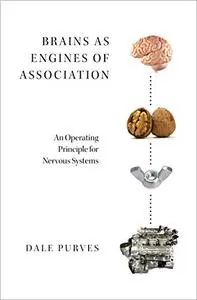 Brains as Engines of Association: An Operating Principle for Nervous Systems (Repost)