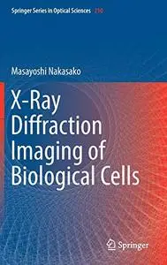X-Ray Diffraction Imaging of Biological Cells (Repost)