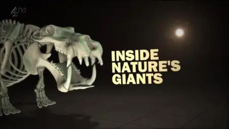 CH4 Inside Nature's Giants - Hippo (2012)