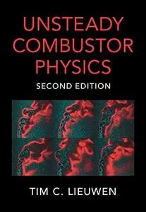 Unsteady Combustor Physics, 2nd Edition