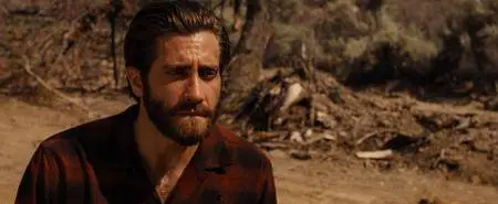 Nocturnal Animals (2016)