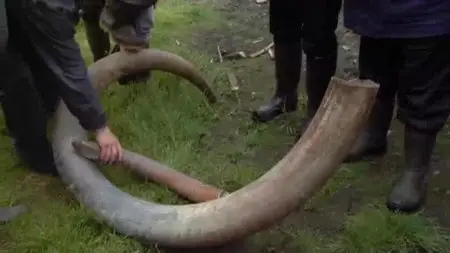 Discovery Channel - Baby Mammoth (2007)