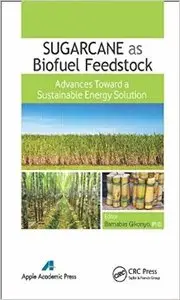 Sugarcane as Biofuel Feedstock: Advances Toward a Sustainable Energy Solution