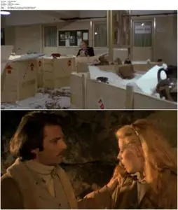 The Scorpion with Two Tails (1982)