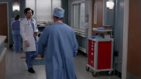 Grey's Anatomy S15E20