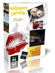 Wallpapers Carnival Plus Series