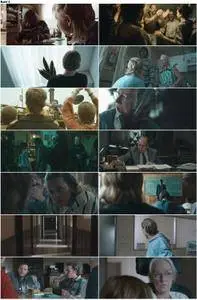 De helaasheid der dingen / The Misfortunates (2009)