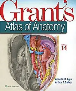 Grant's Atlas of Anatomy (Grant, John Charles Boileau//Grant's Atlas of Anatomy) [Repost]