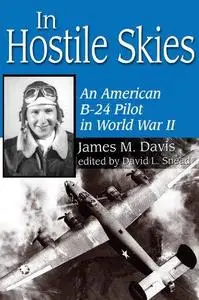 In hostile skies : an American B-24 pilot in World War II