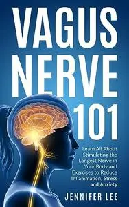 Vagus Nerve 101 - Learn All About Stimulating The Longest Nerve In Your Body