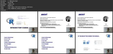 R Programming - R Language For Absolute Beginners