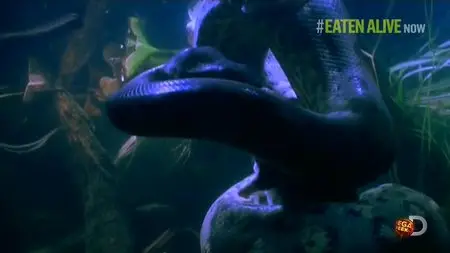 Discovery Channel - Eaten Alive (2014)