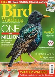 Bird Watching UK - November 2019
