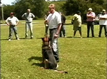 Dog Training: Building Drive & Focus with Bernhard Flinks