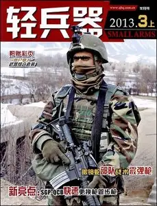 Small Arms - March 2013 (N°3.1)