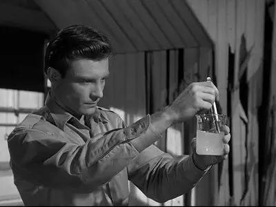The Monolith Monsters (1957)