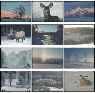 Corel Professional Photos - Snow