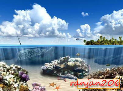 Living Dolphins ScreenSaver