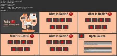 Redis - World'S Fastest Database - Beginners To Advance