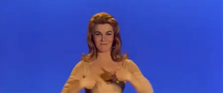 Bye Bye Birdie (1963)