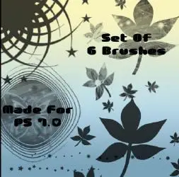 Elegance brushes for Photoshop