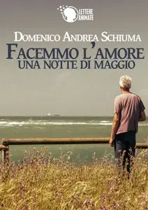 Domenico Andrea Schiuma - Facemmo l'amore una notte di Maggio