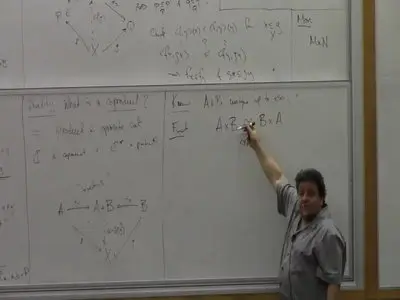Steve Awodey - Category Theory Foundations