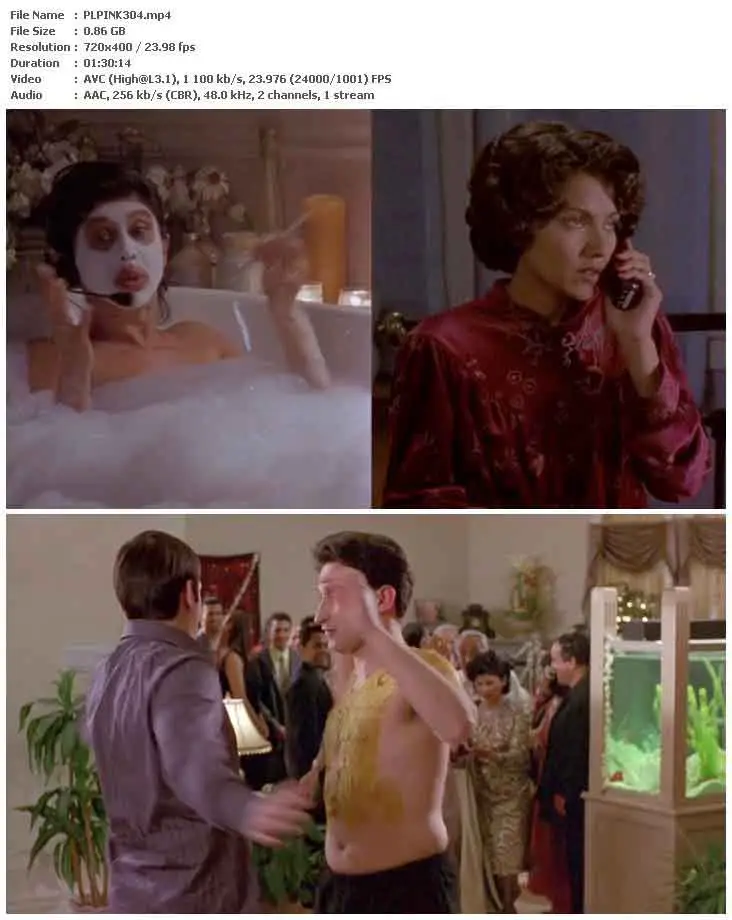 Touch of Pink (2004)
