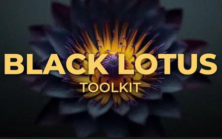 Midiwood Black Lotus v1.2.0 KONTAKT