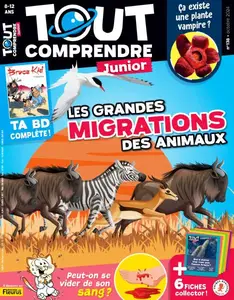 Tout Comprendre Junior - Octobre 2024