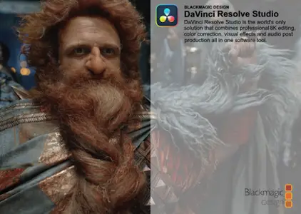 Blackmagic Design DaVinci Resolve Studio 20.0b4