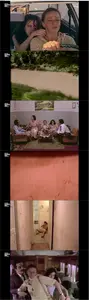 Sea of Roses (1977) Mar de Rosas