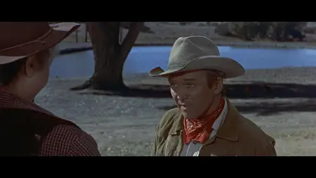 The Man from Laramie (1955)