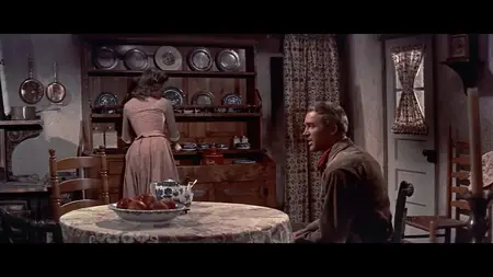 The Man from Laramie (1955)