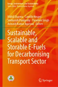 Sustainable, Scalable and Storable E-Fuels for Decarbonising Transport Sector (Energy, Environment, and Sustainability)