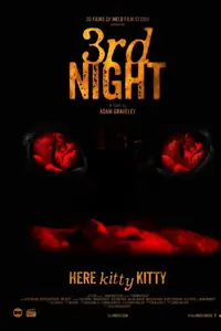 3rd Night (2017)