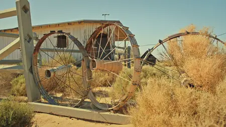 Superbloom (2025)