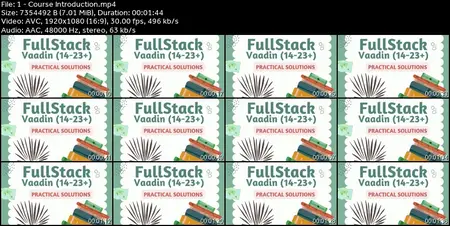 FullStack Vaadin (14-24+) - Practical Solutions