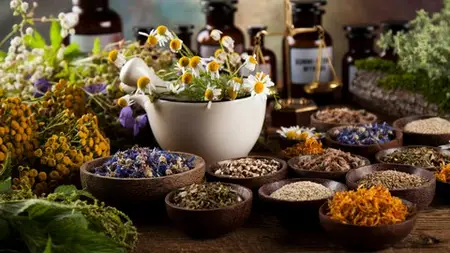 "Food As Medicine,Prevention, Management Of Chronic Disease"
